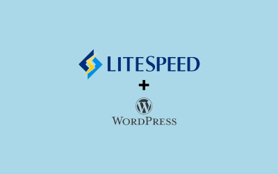 LSCache, la tecnología LiteSpeed para optimizar tu web